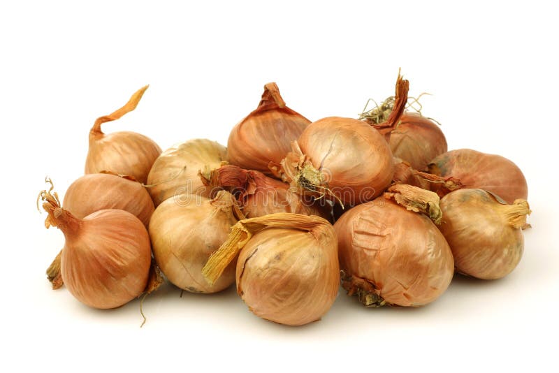 Bunch of fresh shallots stock image. Image of nutrition 17729315