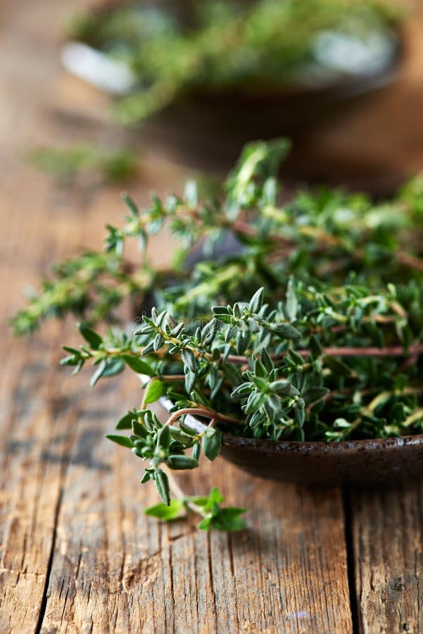 Bunch of Fresh Thyme in a Ceramic Dish Stock Photo Image of natural