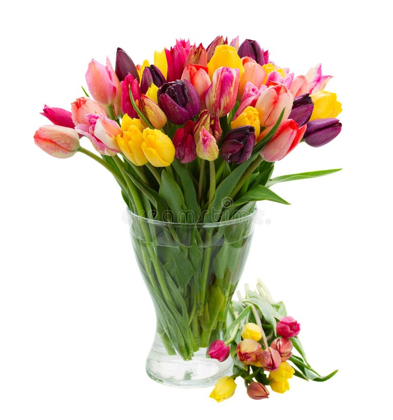 Bunch Of Fresh Tulips In Vase Stock Image - Image of copy, color: 37055673