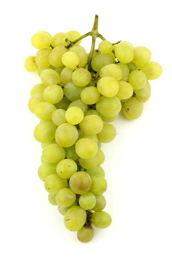 Bunch of grapes stock photo. Image of macro, grape, wine - 6382038