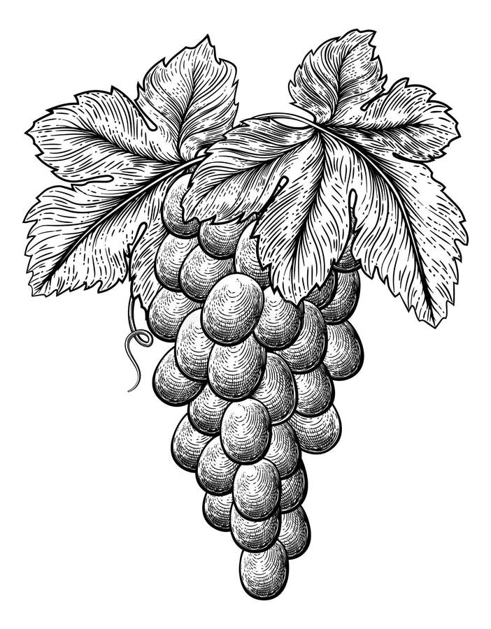 Grapes Tattoo Stock Illustrations – 875 Grapes Tattoo Stock Illustrations, Vectors & Clipart - Dreamstime