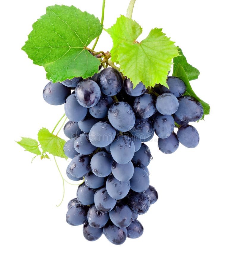 Bunch of grapes isolated on a white background