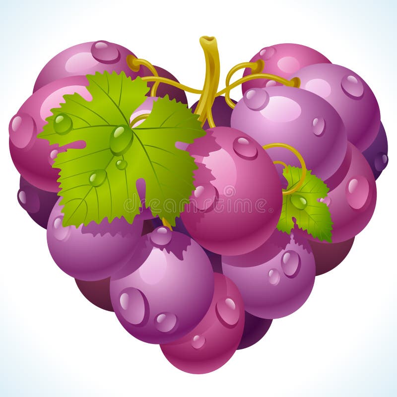 Bunch of grapes in the shape of heart stock illustration Bunch of grapes in the shape of heart stock illustration