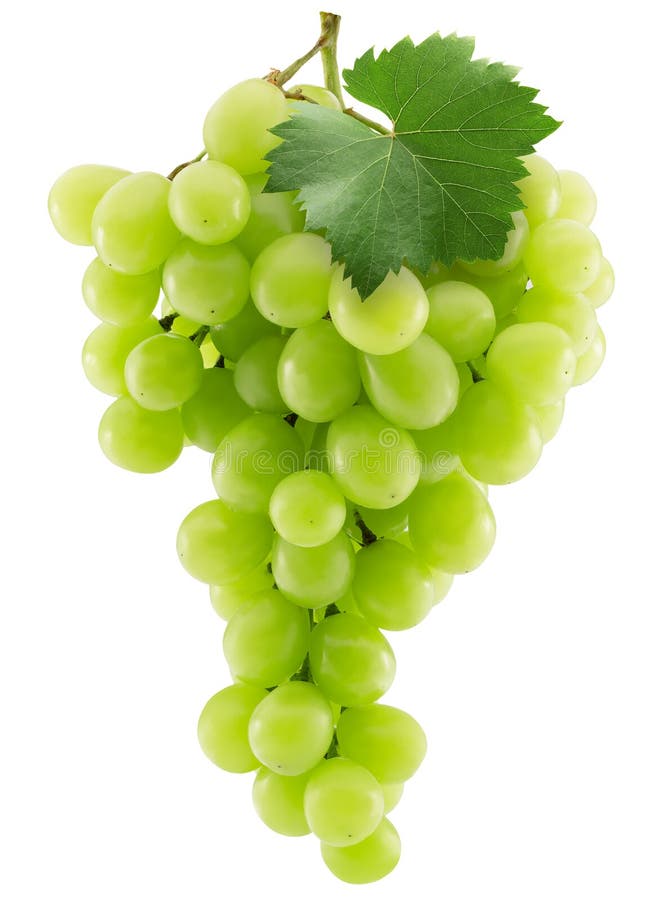 Green Grapes Isolated on a White Background Stock Image - Image of ...