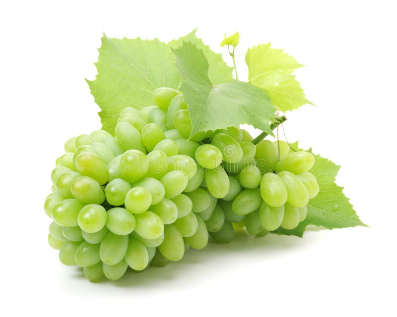 Bunch of green grapes with leaves