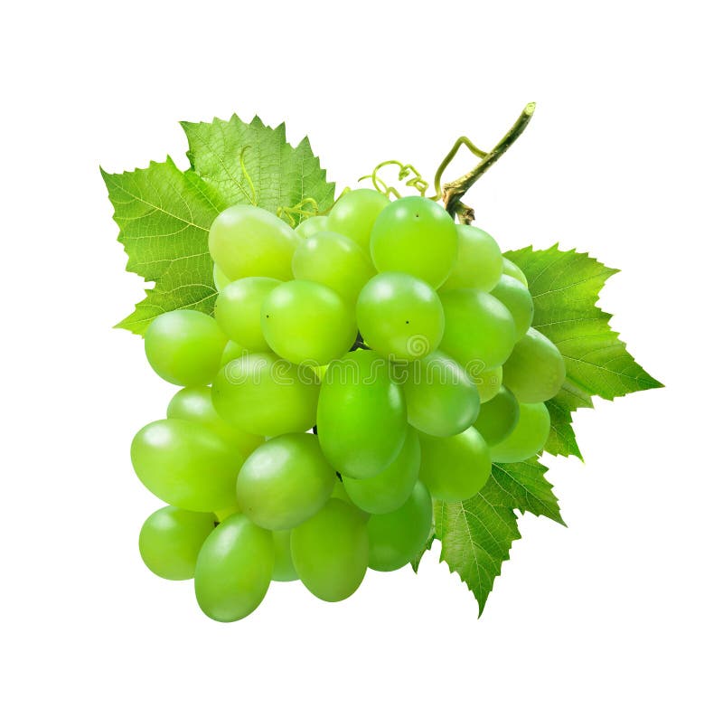 Bunch of green grapes with leaves isolated on white background