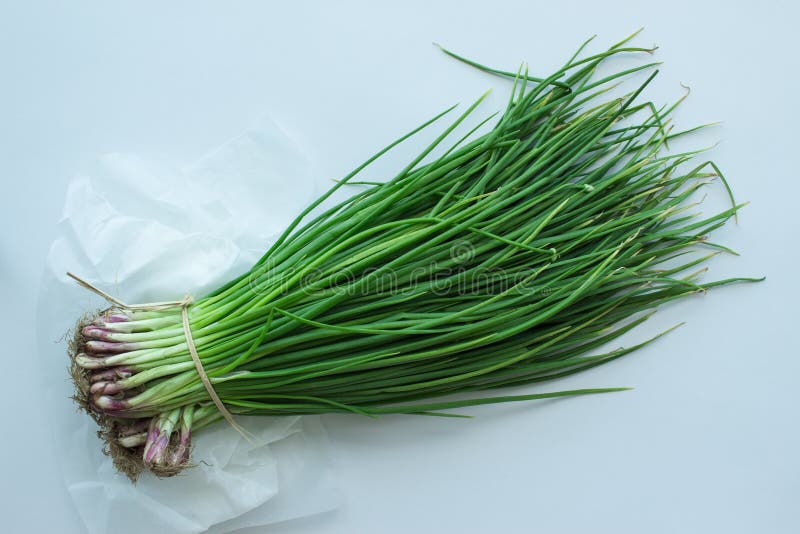 Bunch Of Green Onions With Chives Stock Image Image of green, nature
