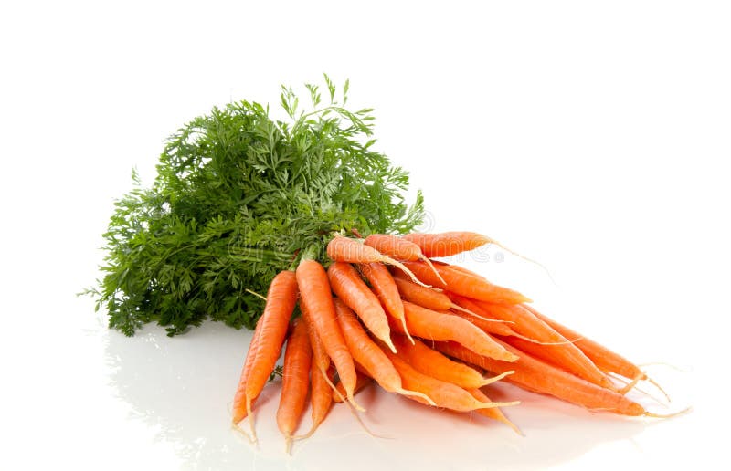 Bunch of Carrots with Green Leaves in a Man Hand Stock Image Image of