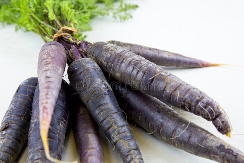Bunch of heirloom purple carrots, over white and wooden background