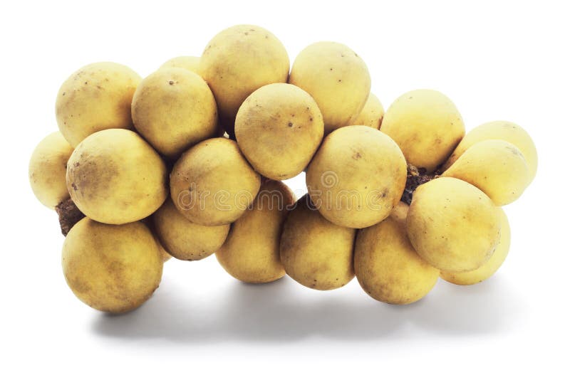 Lanzones stock photo. Image of food, fresh, juicy, longong 27718658