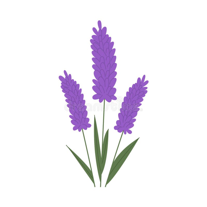 Lavender Sprig Stock Illustrations – 316 Lavender Sprig Stock ...