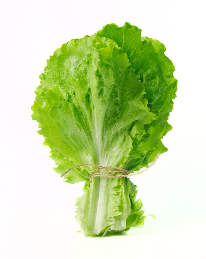 Bunch of lettuce stock image. Image of white, organic 39068557