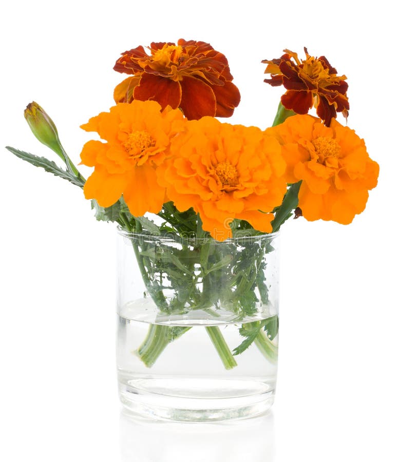 Bunch of marigolds in glass