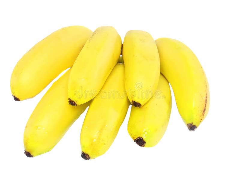 Bunch of Mini-bananas .Isolated Stock Image - Image of banana, bundle ...