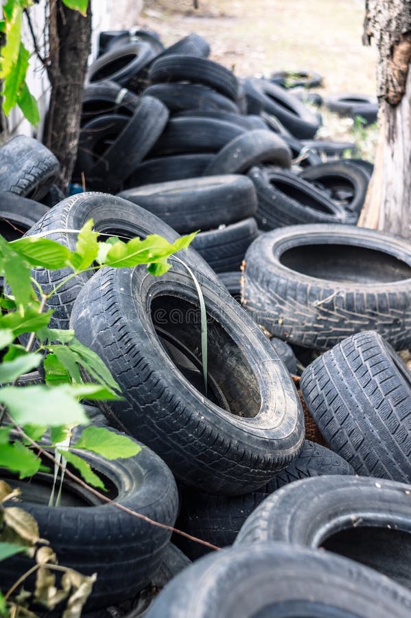 A bunch of old tires from used cars. Environmental pollution. Dump tires.