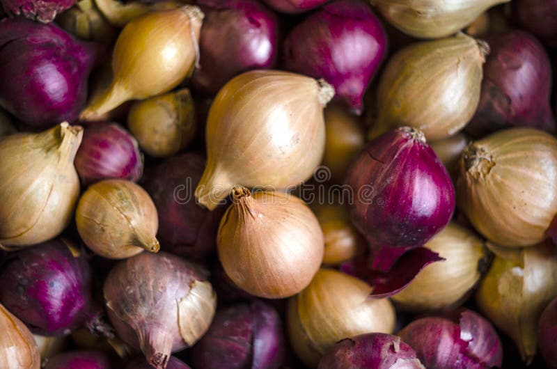 Bunch of onions in the vegetable section of shop or at home in the pantry. Golden heads of raw uncleaned bulbs in yellow, red and