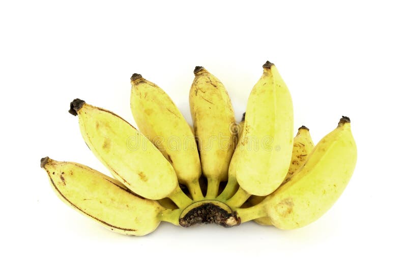 Bunch of over ripe bananas royalty free stock photos Bunch of over ripe bananas royalty free stock photos