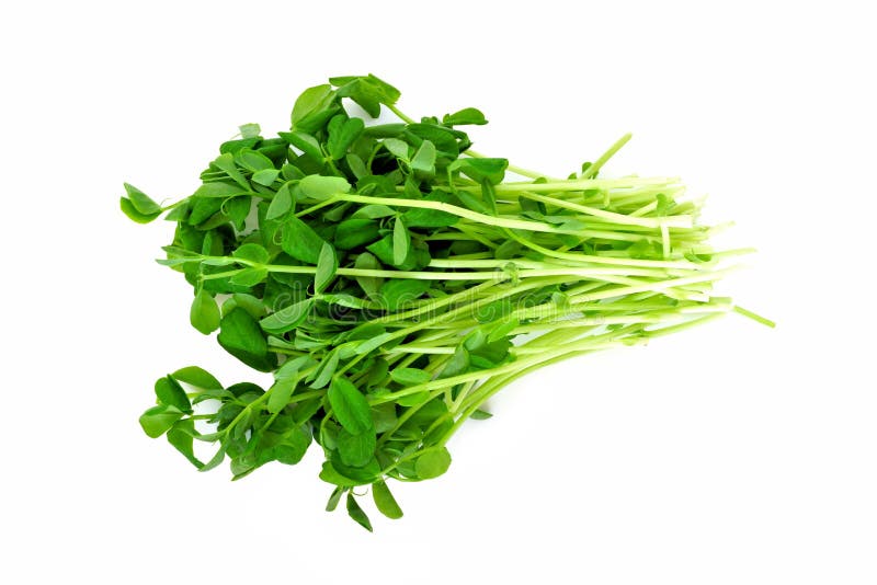 Bunch of pea shoots over a white background