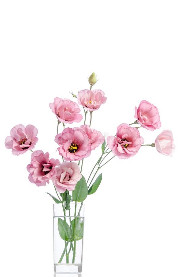 Bunch of Pink Eustoma Flowers in Glass Vase Stock Image - Image of ...