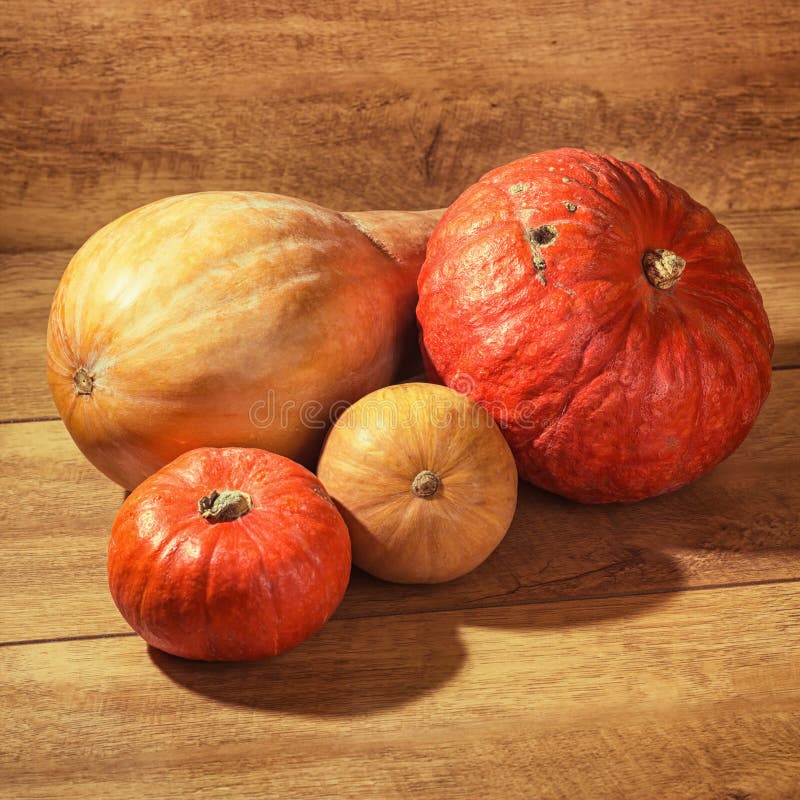 Bunch of pumpkins stock image. Image of organic, seasonal 34592075
