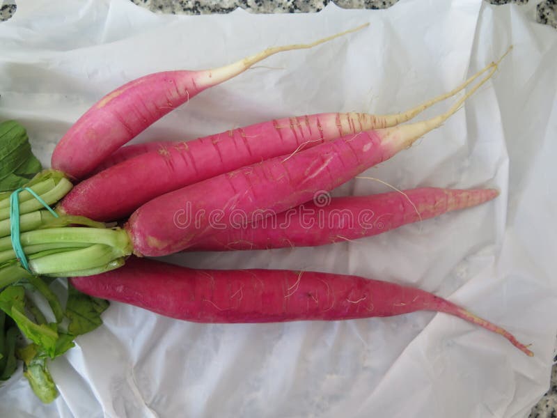 Bunch Rabanos Spanish Radishes Stock Photos Free & RoyaltyFree Stock