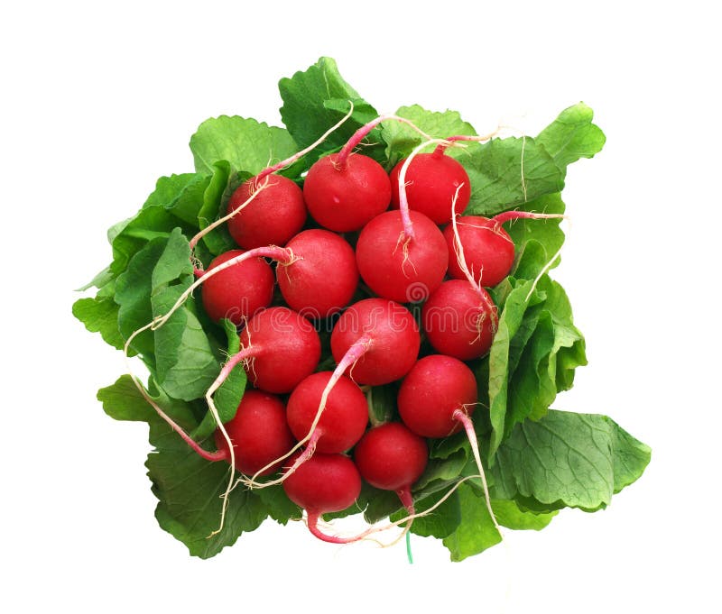 Bunch of radish