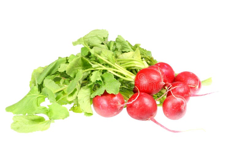 Bunch of radishes. stock image. Image of leaves, agriculture 5194527