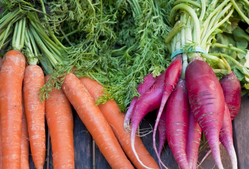 Bunch of Radishes and Carrots Stock Photo Image of healthy, food