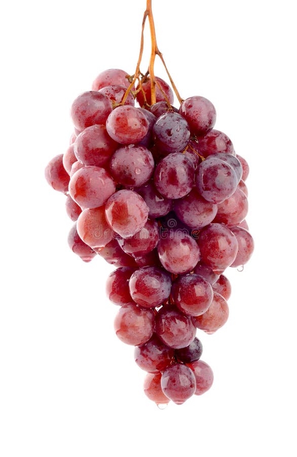 Bunch of red grapes stock photo. Image of bunch, grape 35310572