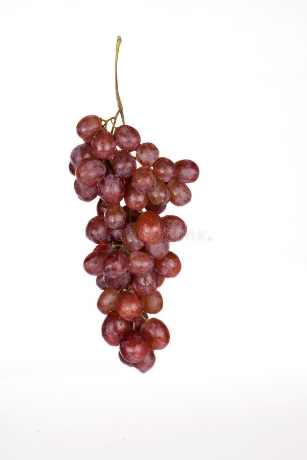 Bunch of red grapes isolated