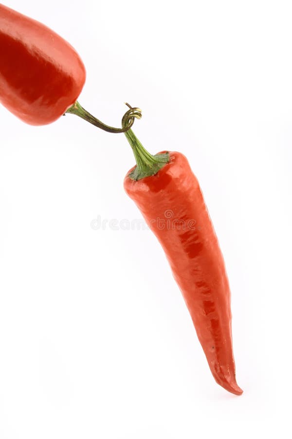Bunch of red hot chilli pepper
