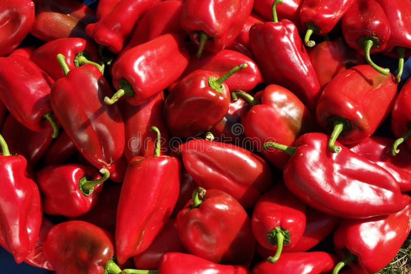 A bunch of red pepper