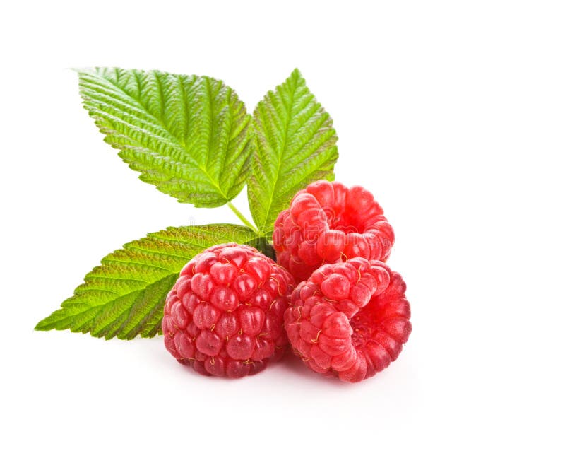 Bunch of a red raspberry