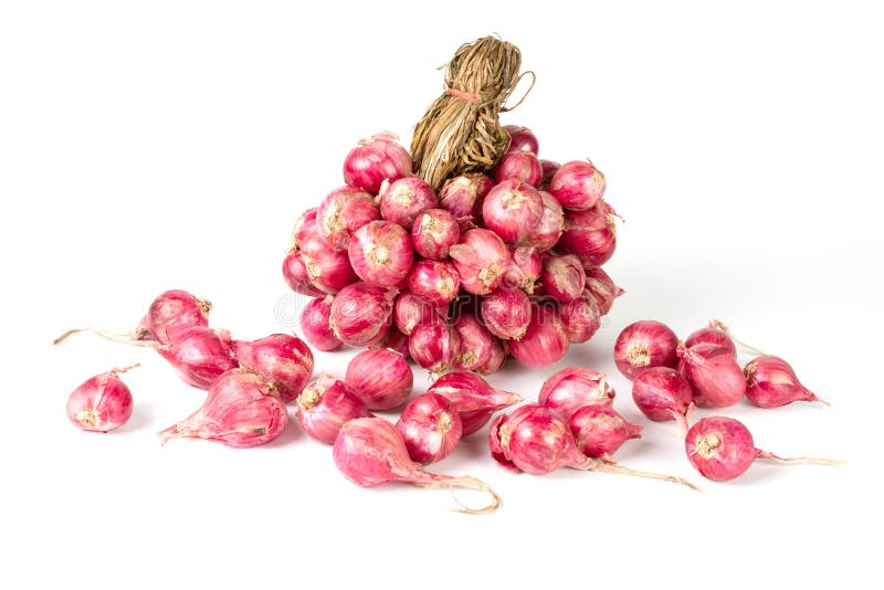 A bunch of red onions or shallots that are still fresh after being harvested. 10972013 Stock Photo at Vecteezy