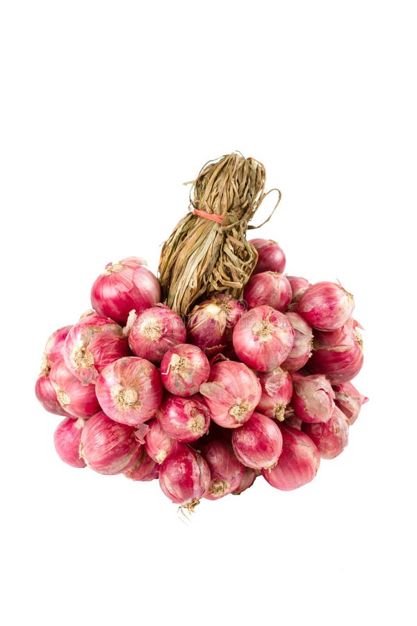Bunch of Red Shallots Onions. Stock Photo Image of cooking, flavor