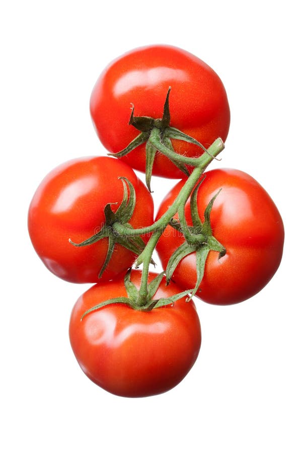 Bunch of red tomatoes isolated on white