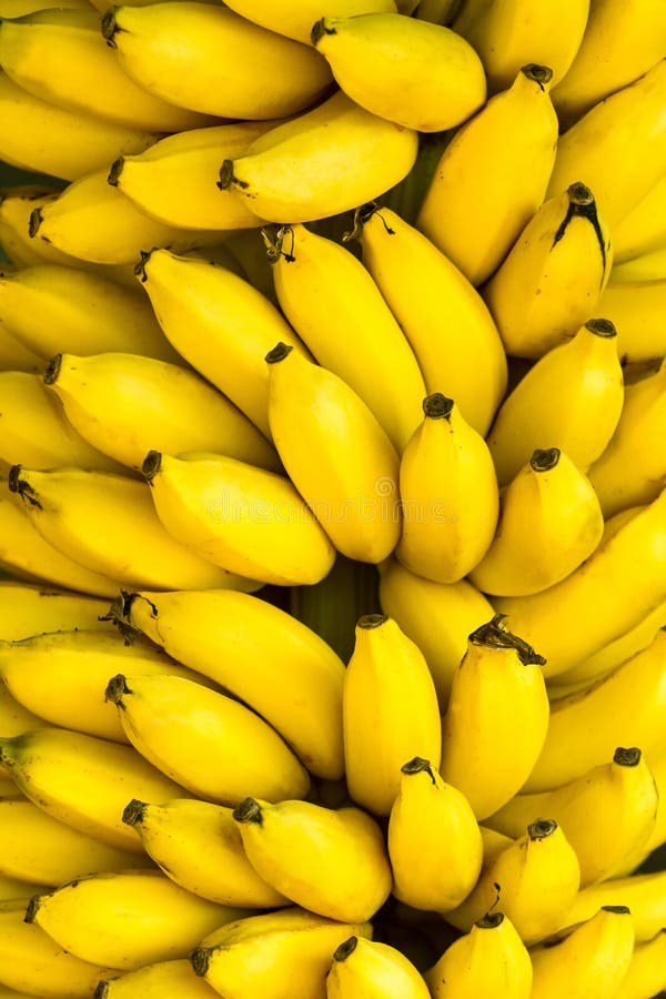 Bunch of ripe bananas