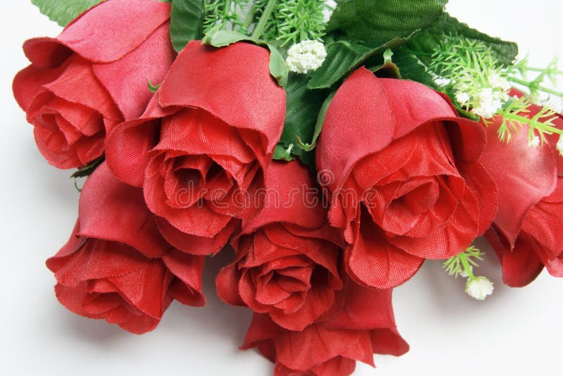 Bunch of Roses on Seamless White Background