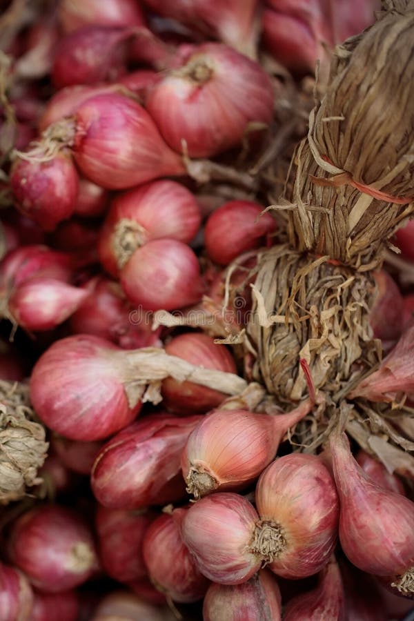 Shallots Asian Red Onions Stock Photo 1014956206