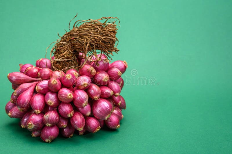 Small Red Onions Shallots Stock Photo 1796207