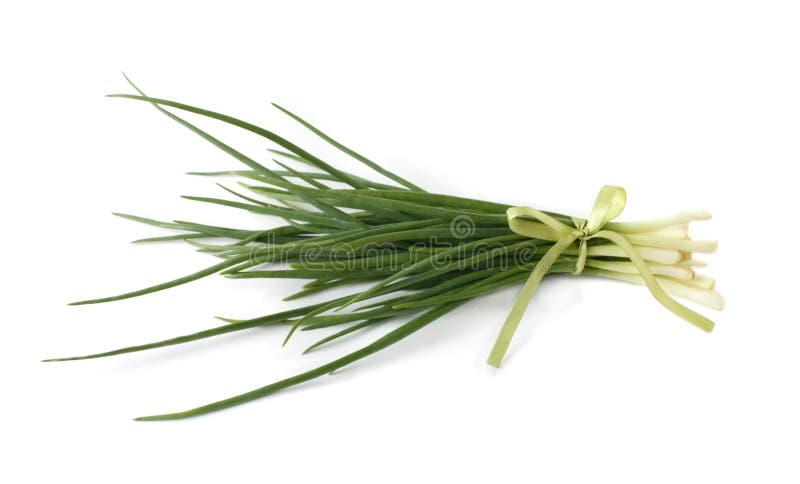 A bunch of spring onions, tied with a ribbon