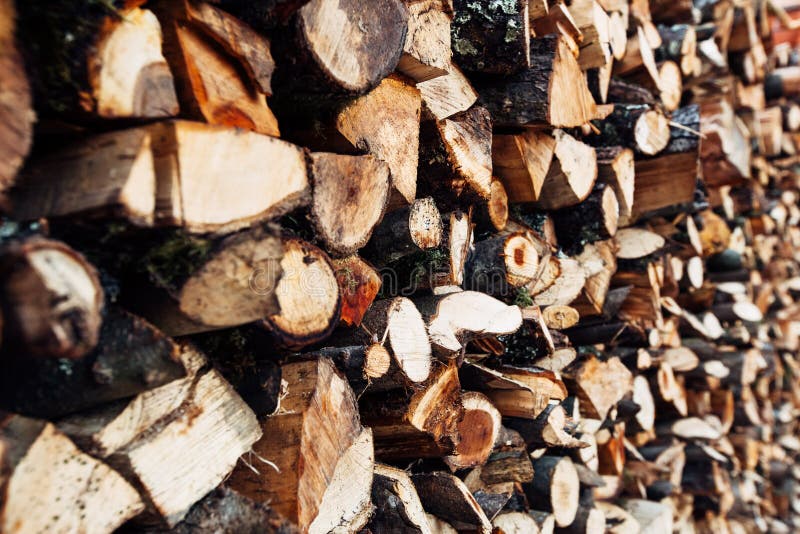 Bunch of Spruce Fire Wood Ready for the Fireplace Stock Image Image