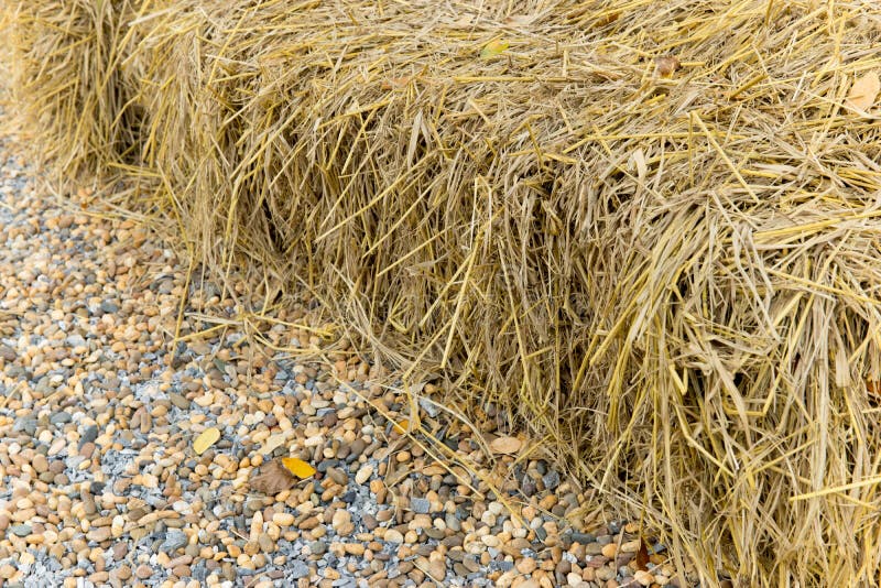 A Bunch of Straw on the Ground. Stock Photo - Image of texture, symbol