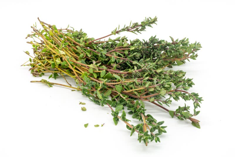 bunch of thyme to dried