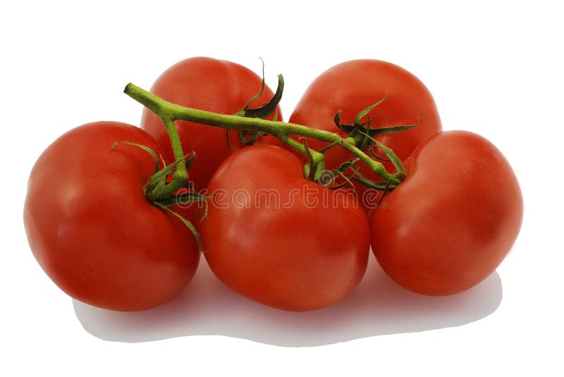 Bunch of Tomatoes