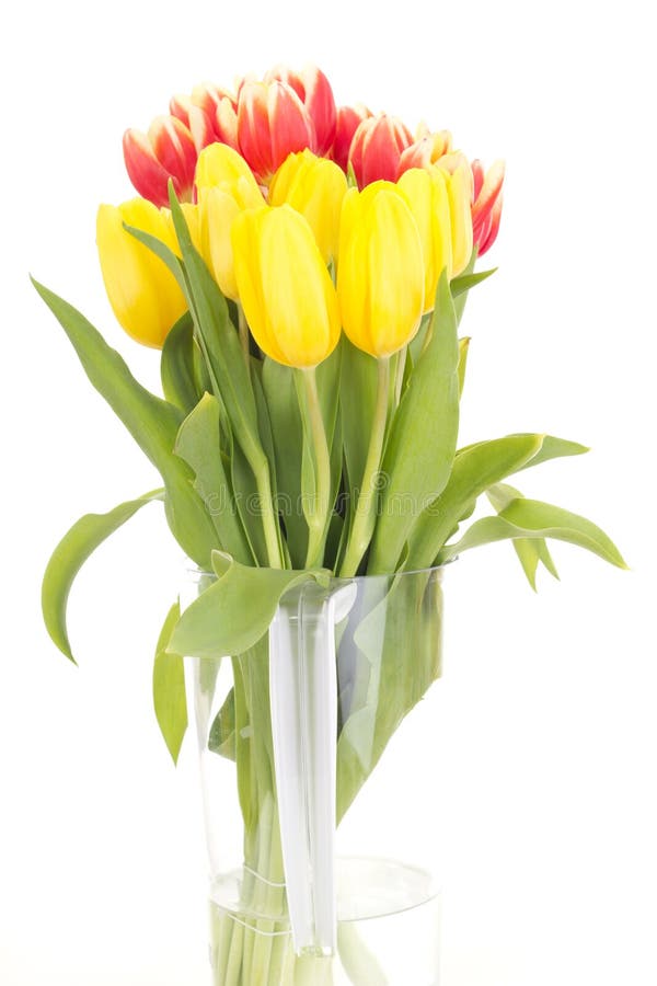 Bunch of tulips stock photo. Image of decoration, springtime - 29141970