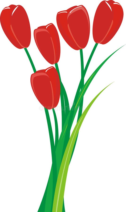 Bunch of tulips stock vector. Illustration of love, pink - 40332655