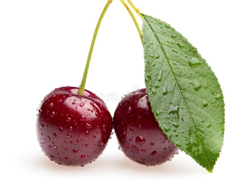 Bunch of two Cherries and leaf royalty free stock images