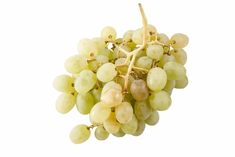 Green grapes stock image. Image of close, colour, berries - 19849935