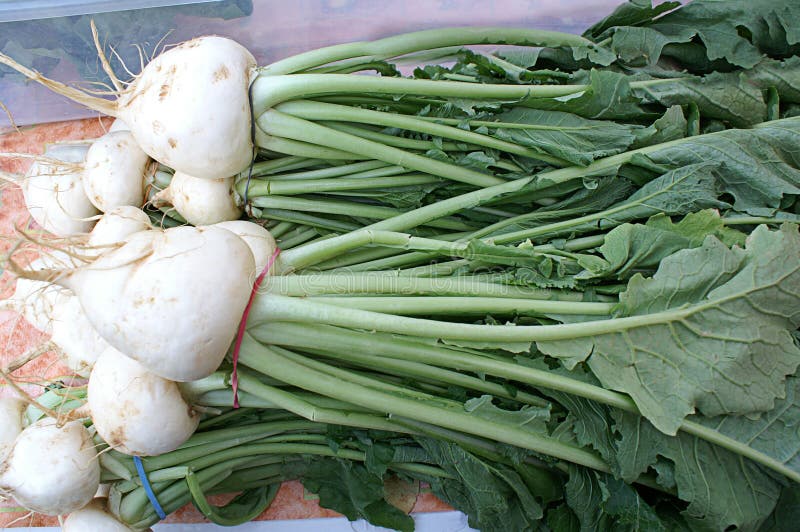 Bunch of White Turnips stock photo. Image of health, diet 41062832